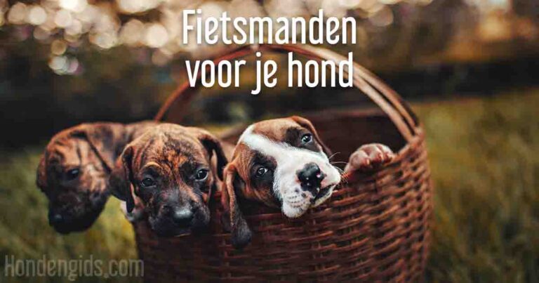 Hondengids_de beste hondenfietsmand fietsmand