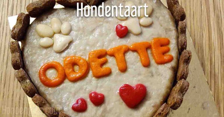 Hondengids_makkelijke eenvoudige hondentaart maken